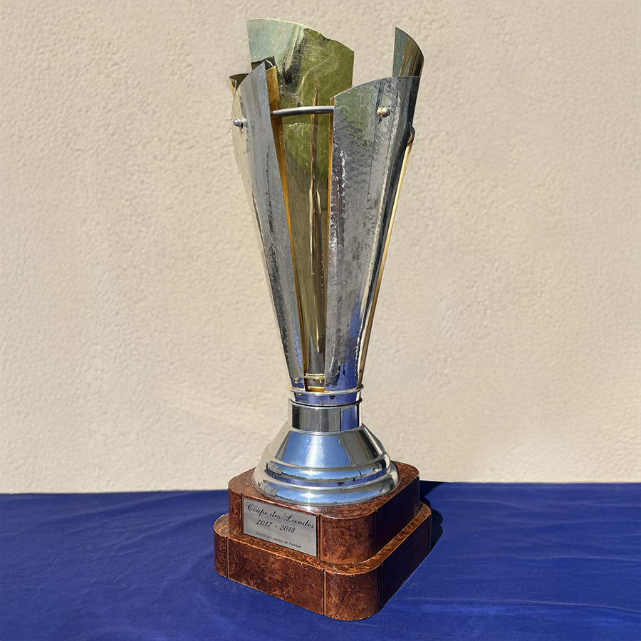 Vainqueur de la Coupe des Landes