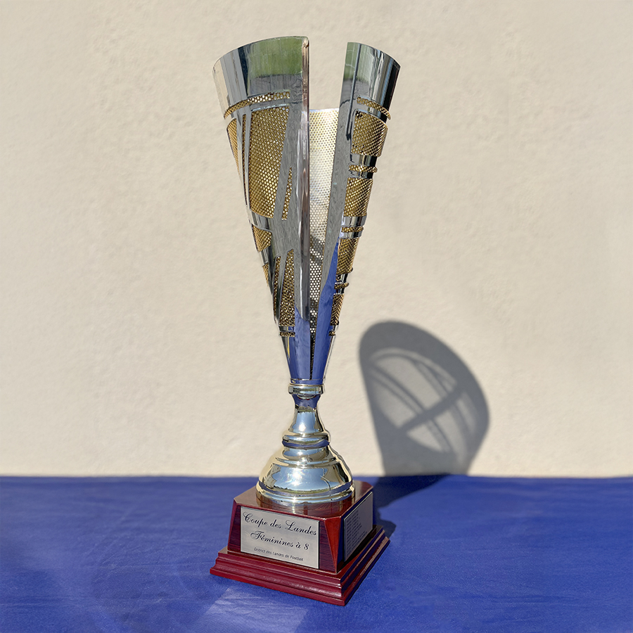 Vainqueur de la Coupe des Landes à 8 Féminines