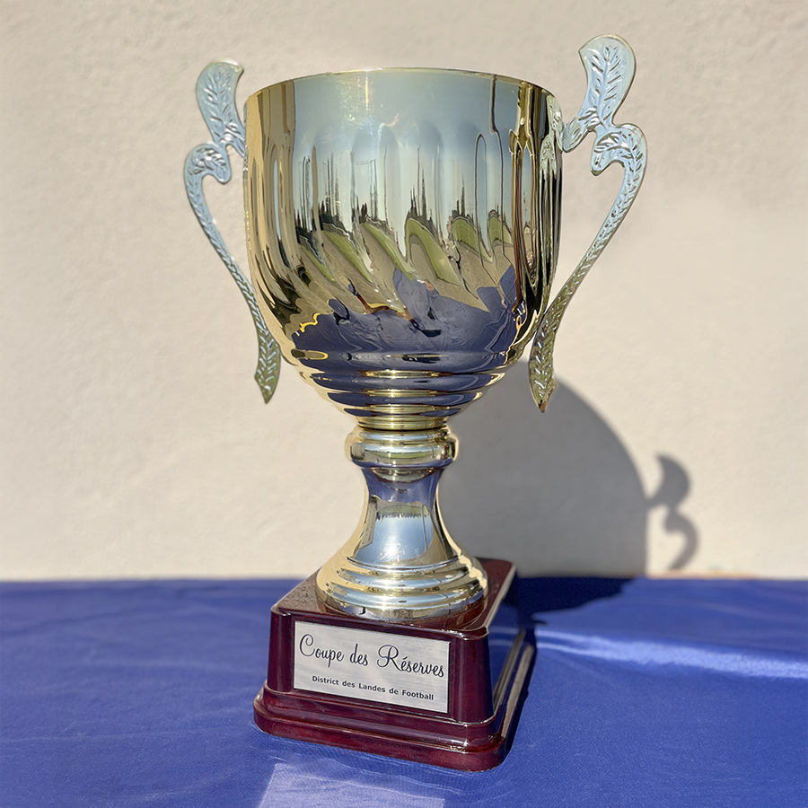 Vainqueur de la Coupe des Landes des Equipes Reserves