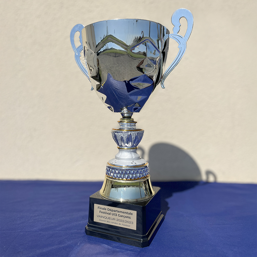 Champions départemental Festival Pitch U13